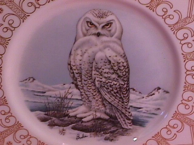 Edward Marshall Boehm, North American Owl Series,