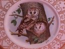 Edward Marshall Boehm, North American Owl Series,
