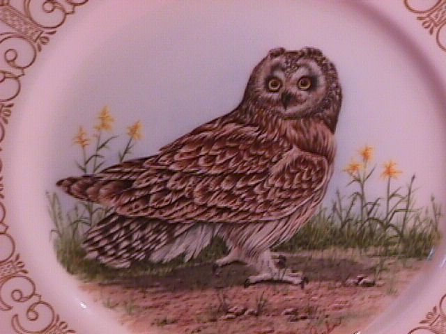 Edward Marshall Boehm, North American Owl Series,