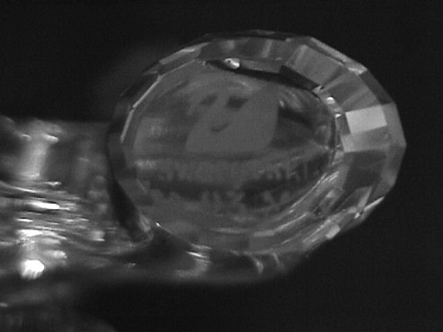Swarovski Collectors Society, 1993