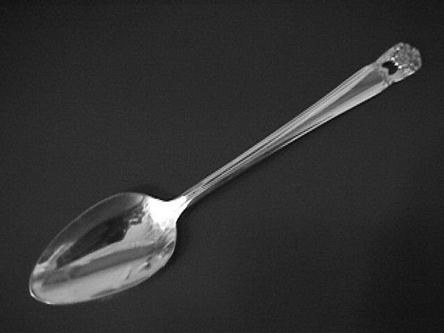 1847 Rogers Silverplate