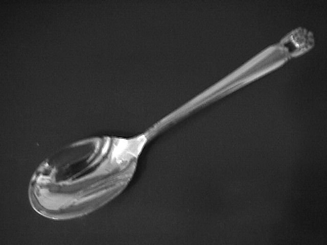 1847 Rogers Silverplate