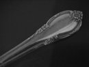 1847 Rogers Silverplate