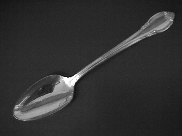 1847 Rogers Silverplate