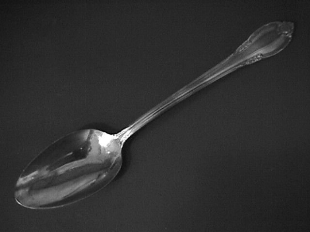 1847 Rogers Silverplate