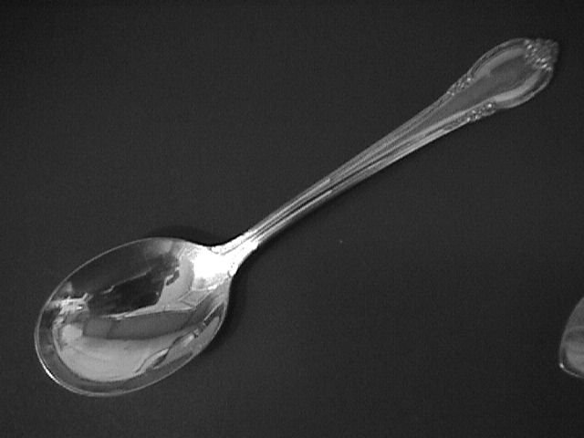 1847 Rogers Silverplate