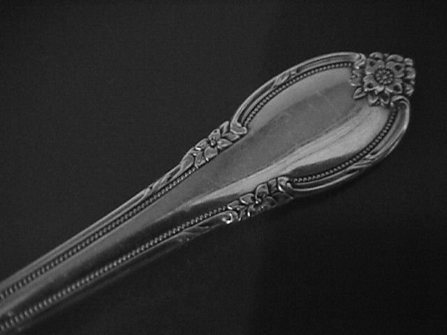 1847 Rogers Silverplate