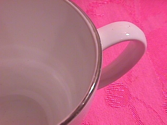 Corning China with Platinum Rim 2=Cups
