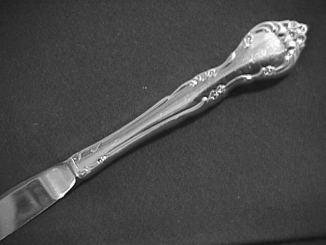 Oneida Community Silverplate