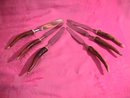 Robeson, Germany Real Antler & Stainless Steak Knife Set