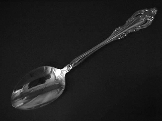 Oneida Community Silverplate