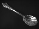 Oneida Community Silverplate