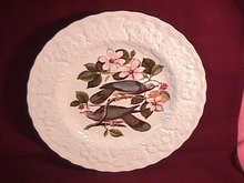Alfred Meakin= Birds of America