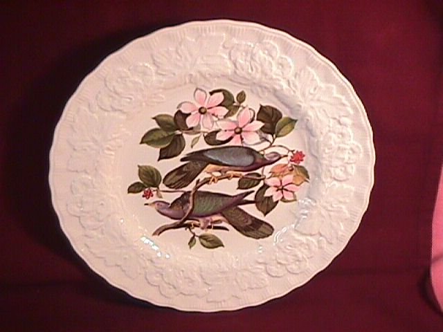 Alfred Meakin= Birds of America
