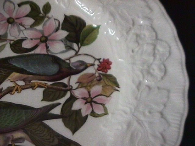 Alfred Meakin= Birds of America