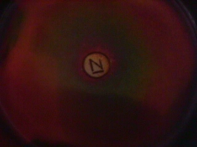 Northwoods-Carnival Glass