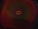 Northwoods-Carnival Glass