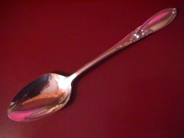 Oneida Community Silverplate
