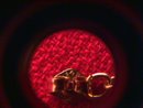 14K Solid Gold & Cultured Pearl Earrings