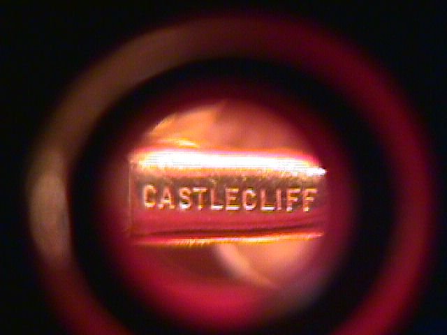 Castlecliff Leaf Form Pin & Earrings