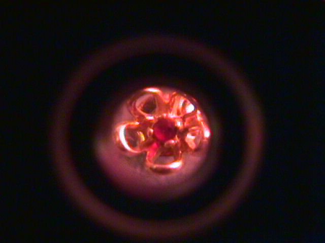 Gold & Garnet Flower Earrings