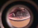 Sterling Mercury Dime (Liberty) Ring