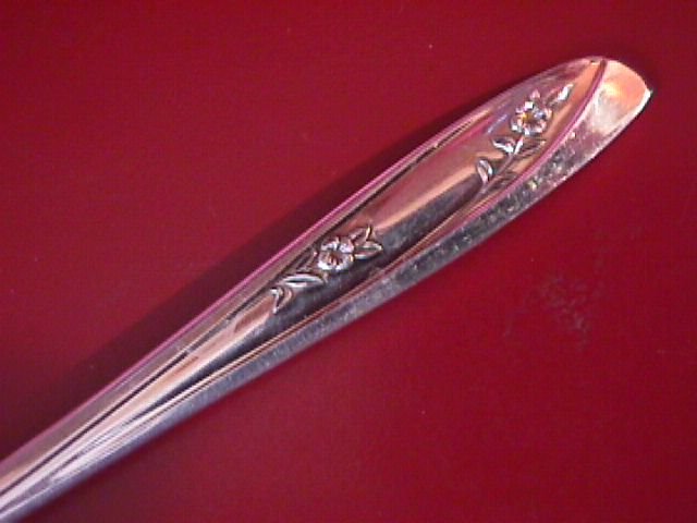 International WM Rogers Silverplate