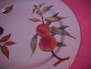 Royal Worcester Porcelain
