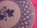 Spode Fine Porcelain
