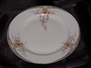 Paul Muller Albany Dinner Plate