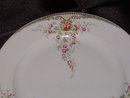 Paul Muller Albany Dinner Plate