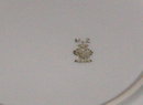 MZ Austria Salad Plate