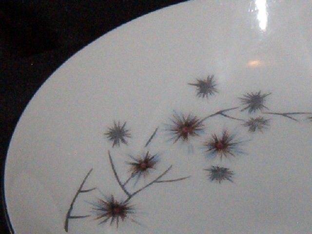 Creative Platinum Star Burst Soup Bowl