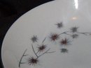 Creative Platinum Star Burst Soup Bowl