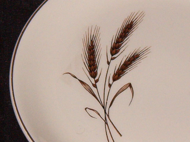 Salem Royal Joci Salad Plate