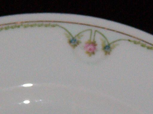 M Z Austria Altrohlau Dinner Plate