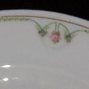 M Z Austria Altrohlau Dinner Plate