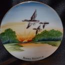 Souvenir Plate Nisswa Minnesota