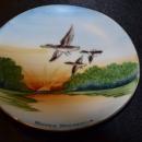 Souvenir Plate Nisswa Minnesota
