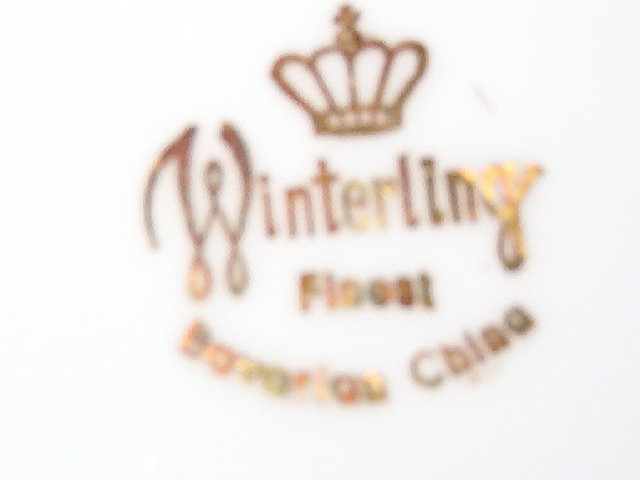 Winterling Bavaria Wig163 Dinner Plate