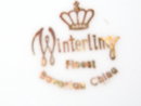 Winterling Bavaria Wig163 Dinner Plate