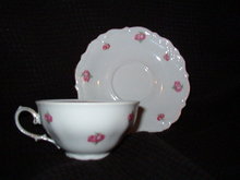 Winterling Bavaria Wig163 Cup & Saucer