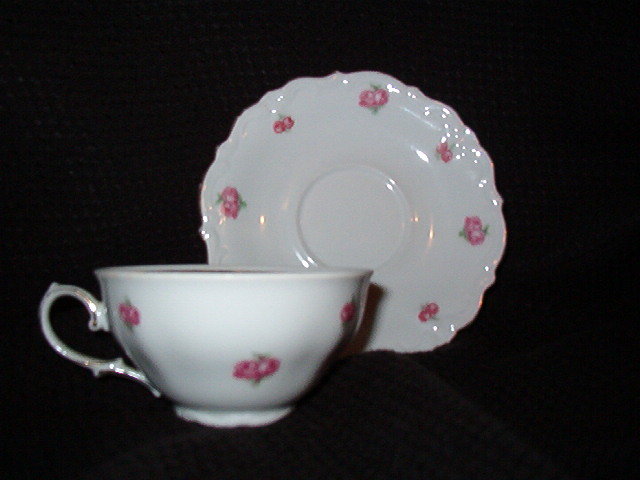 Winterling Bavaria Wig163 Cup & Saucer
