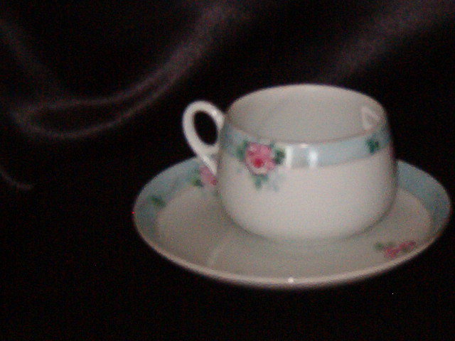 Japan Hand Painted Cup & Saucer
