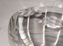 Vintage Etched Champagne Sherbet