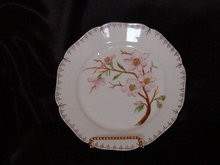 Haviland & Co Limoges Plate