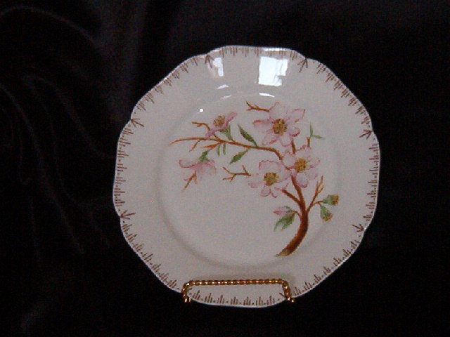 Haviland & Co Limoges Plate