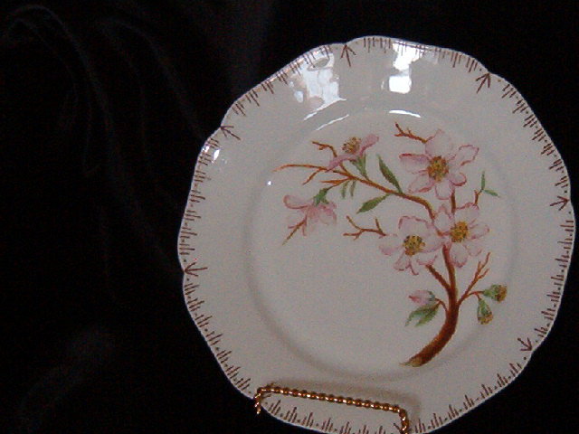 Haviland & Co Limoges Plate