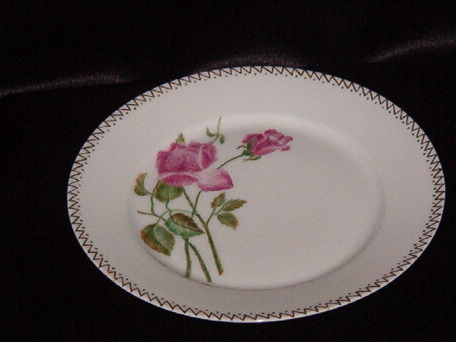Haviland & Co Limoges Plate