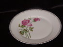 Haviland & Co Limoges Plate